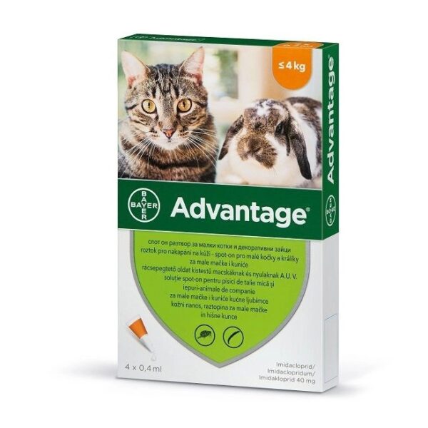 advantage kicsi