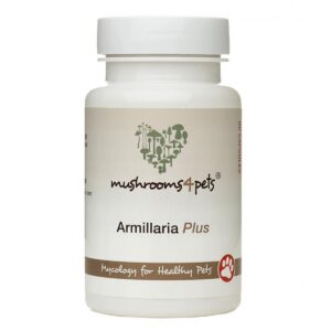 Armillaira Plus kapszula 60db